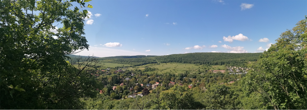 Hűvösvölgy-Zsíros-hegy_4
