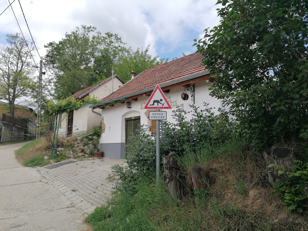 Piliscsaba-Dorog_5