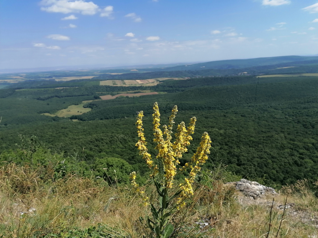 Szendehely_Katalinpuszta-Ősagárd_14