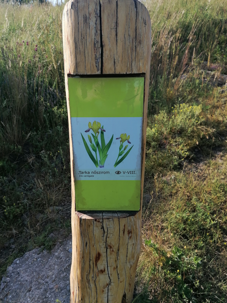 Törökmező-Nagy-Hideg-hegy_14