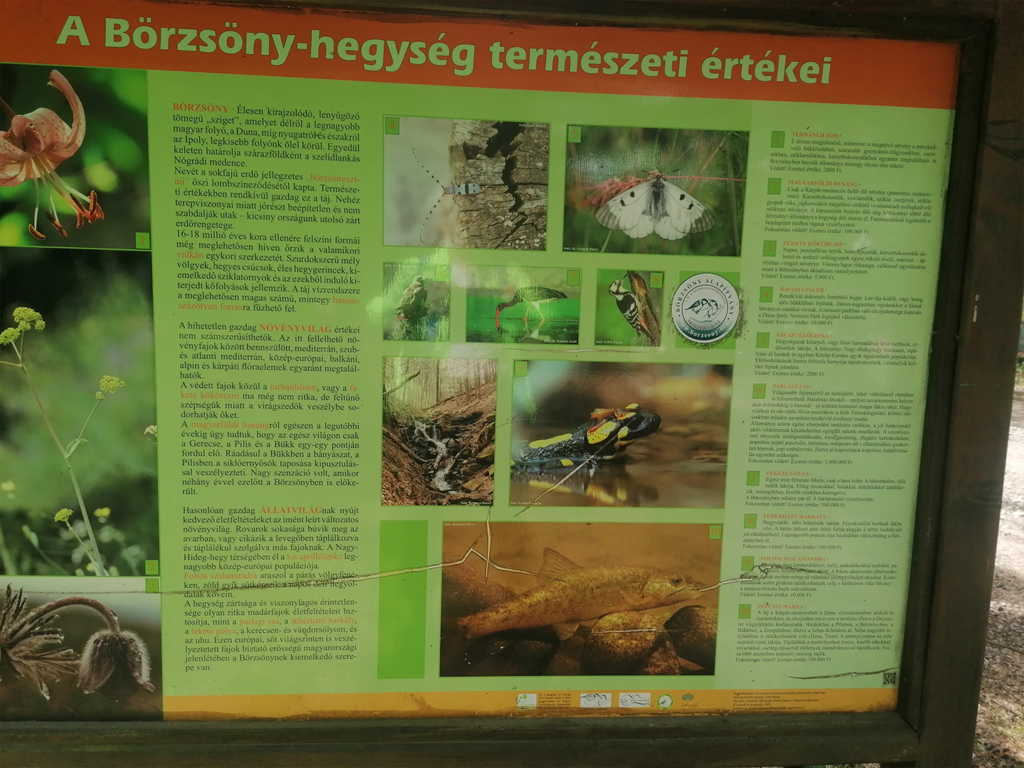 Törökmező-Nagymaros_2